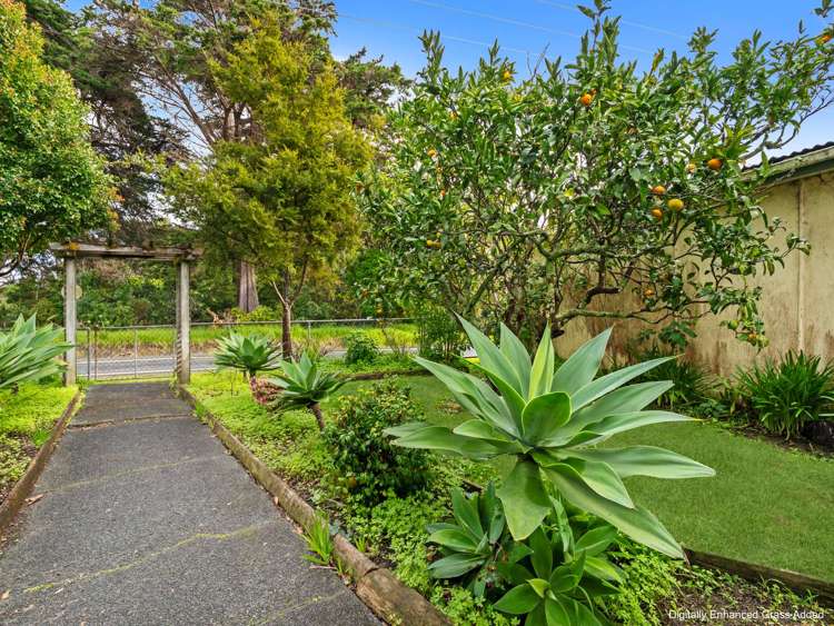 2774 Kaipara Coast HWY_3