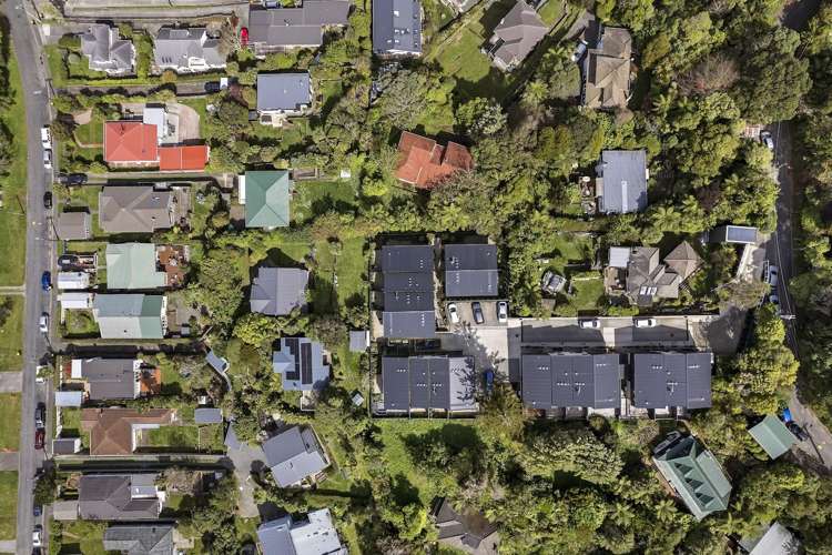 14 Ara Toutouwai Karori_20