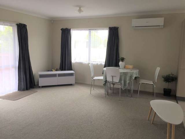 44 Victoria Street Pukekohe_4