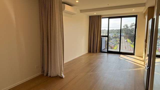 105/2B Te Ara Taurapa Point Chevalier_4