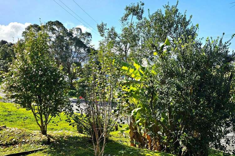 103 Parnell Street Rawene_11