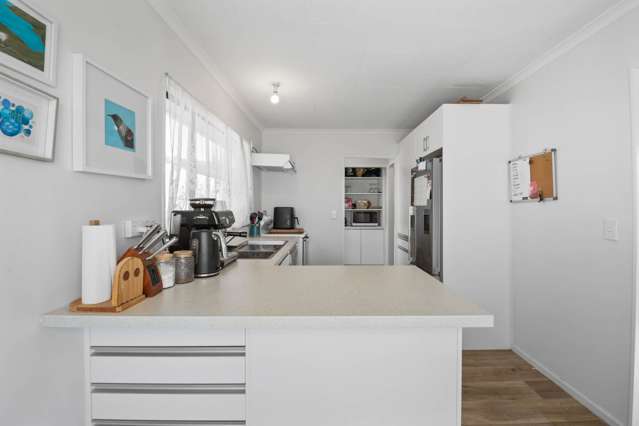 44A Milton Terrace Picton_4