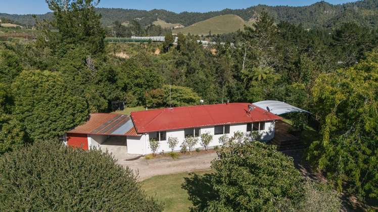 1164 No 3 Road Te Puke_6