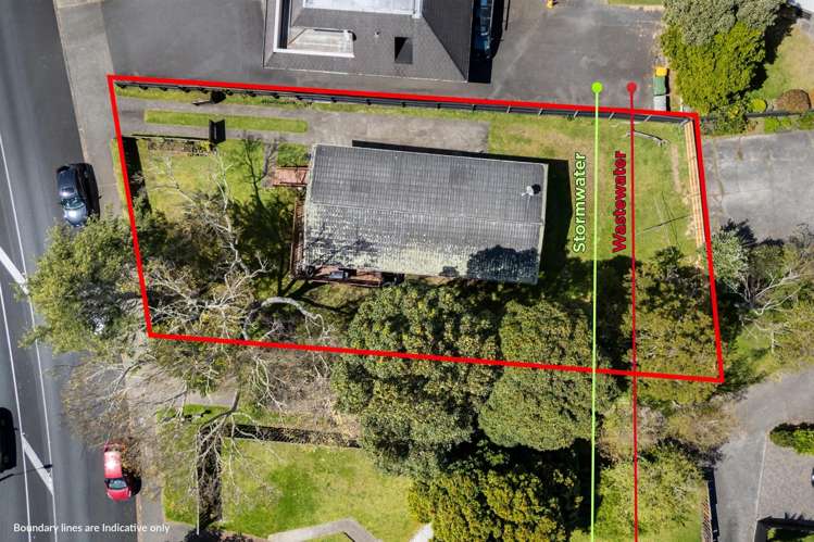 197 Abbotts Way Remuera_0