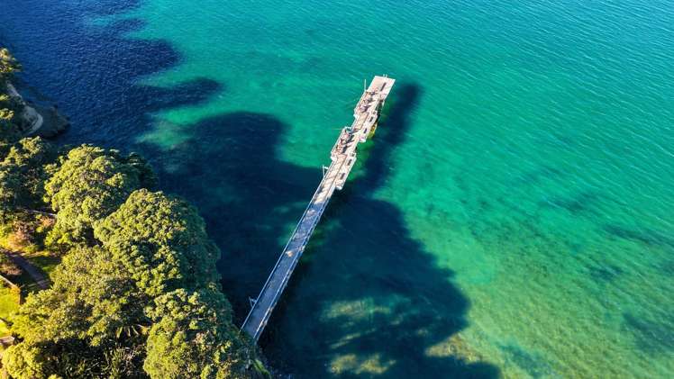 28 Montana Avenue Murrays Bay_41