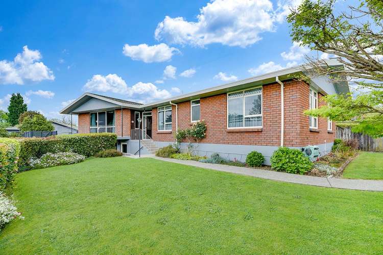 46 Stirling Drive Morrinsville_1