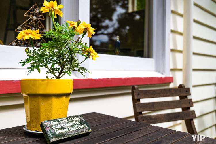 51 Tarawera Road Johnsonville_2