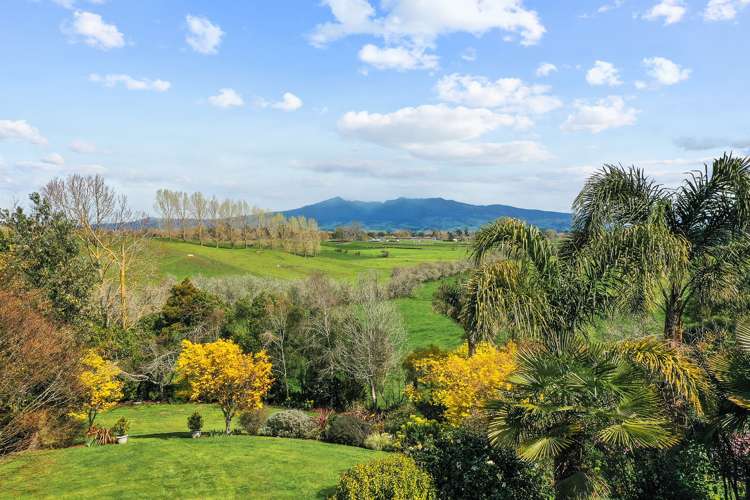 346 Gillard Road Ngahinapouri_6