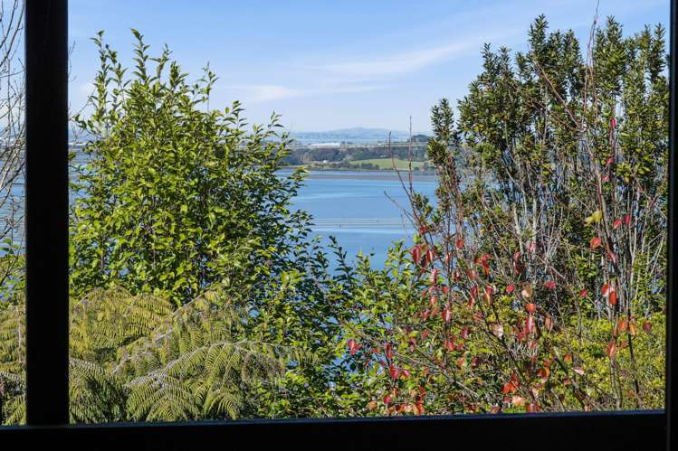 4a Cape Horn Road Hillsborough_27