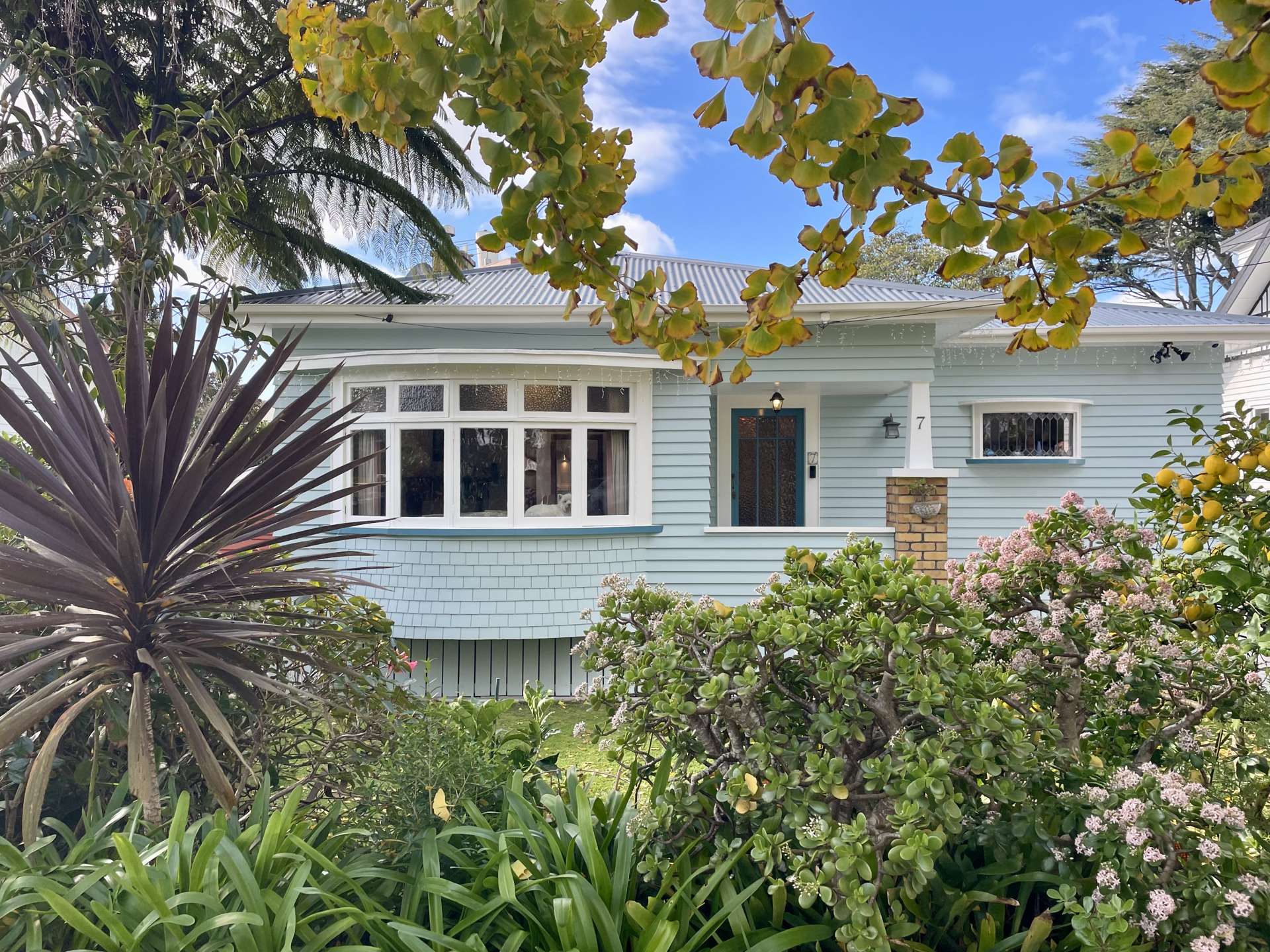 7 Burnside Avenue Mt Albert_0