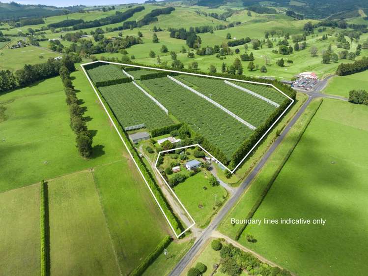 79 Woodlands Road Waihi Beach_5