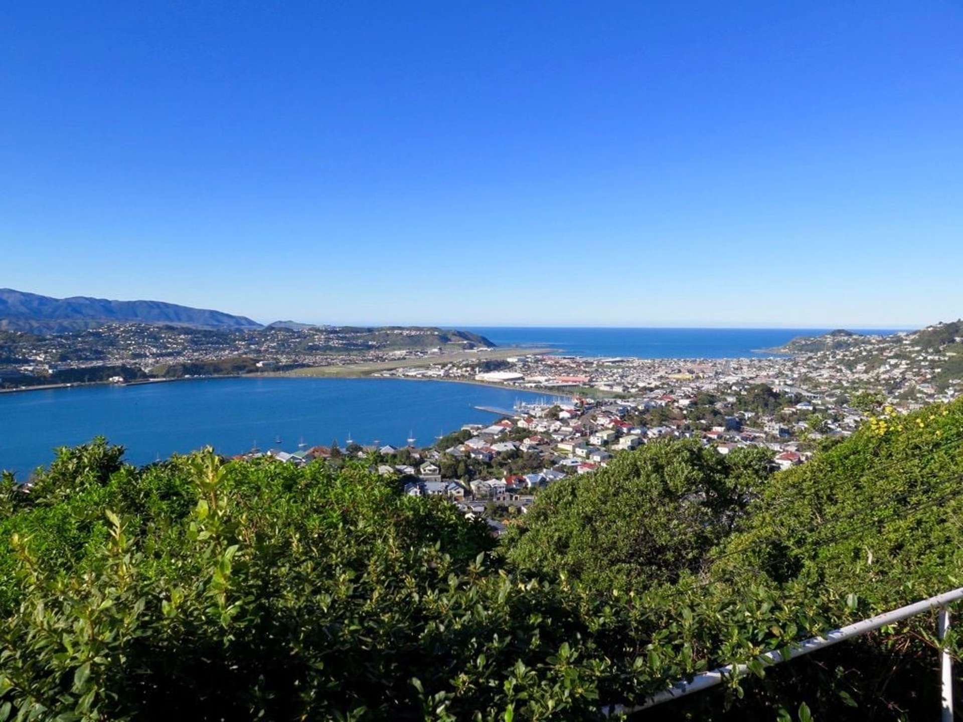17A Marewa Road Hataitai_0