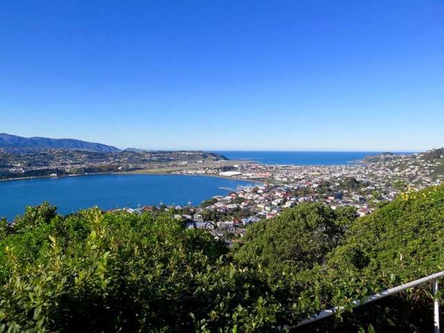 Panoramic views over Hataitai