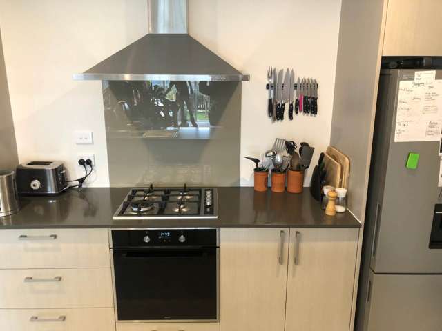 125 Kuaka Drive Takanini_4