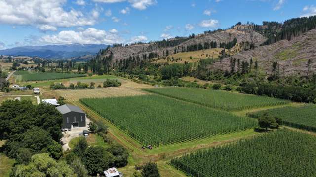 390 Tadmor Valley Road Tapawera_4