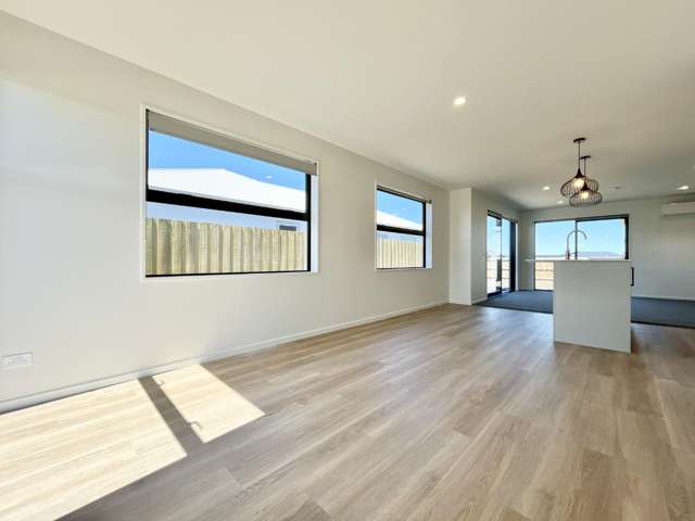 17 Larch Drive Rolleston_3