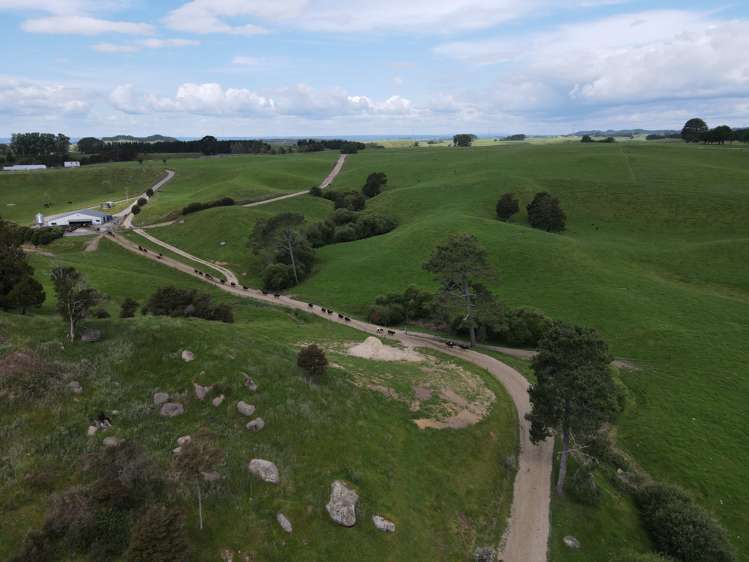 110 Stringers Road Putaruru_25