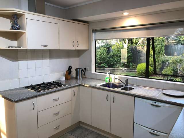 11 Amylynn Place East Tamaki_3