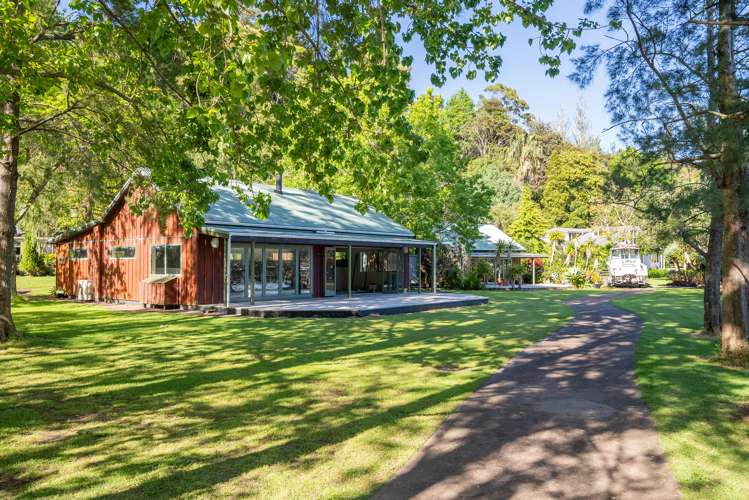 745d Waikino Road Russell Surrounds_13