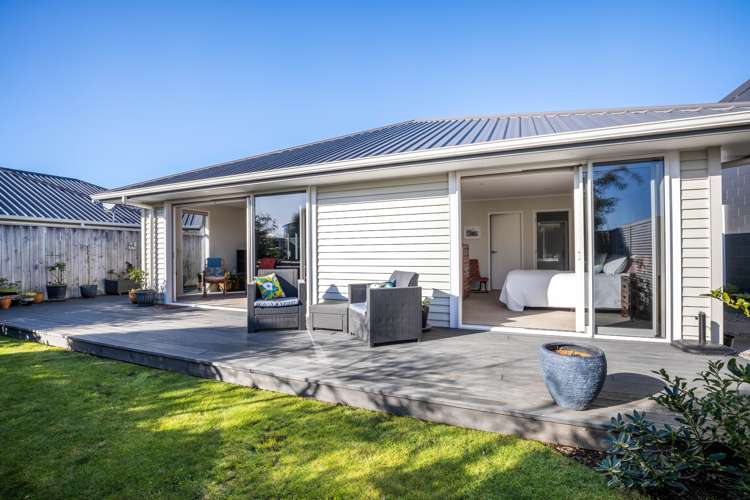 374b Carrington Street Upper Vogeltown_17