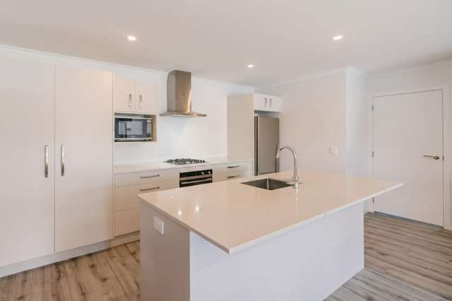 24 Paisley Street Awapuni_1