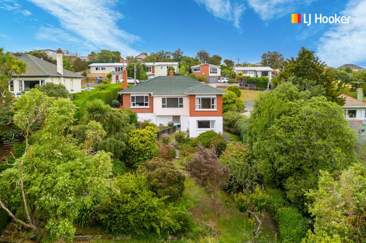 129 Scott Street Waverley_18