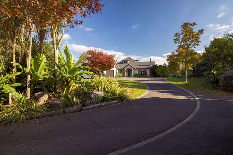 135A McLaren Falls Road Lower Kaimai_32