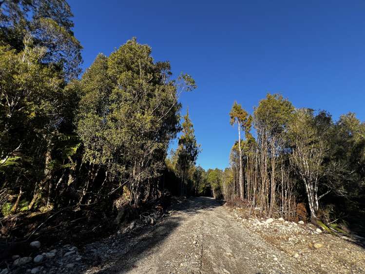 Lot 1/199 Milltown Road Kaniere_7