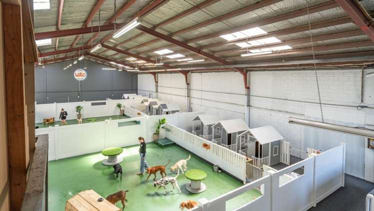 211-213 Waltham Road Sydenham_22