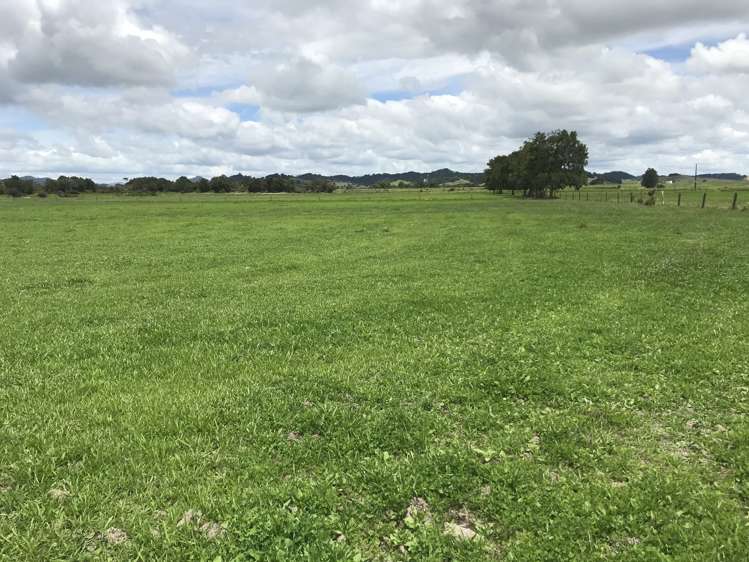 112 Mountain View Road Hikurangi_5