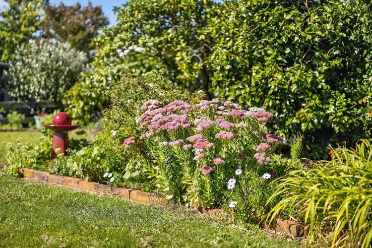 29 Cockburn Street Kuripuni_29