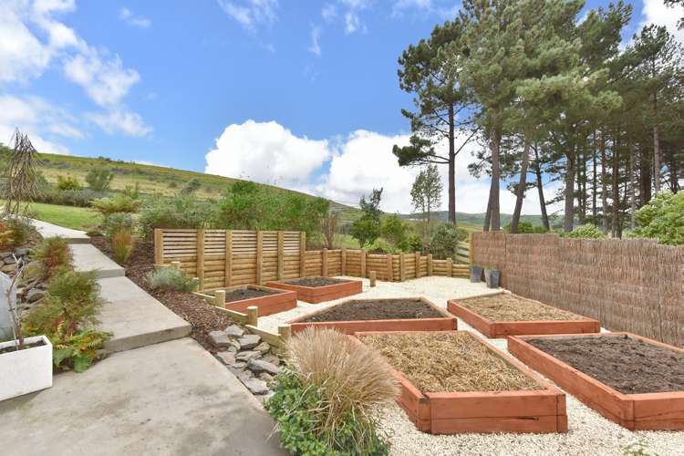 5 The Ridge Kennedys Bush_22