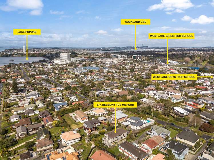 37a Belmont Terrace Milford_17