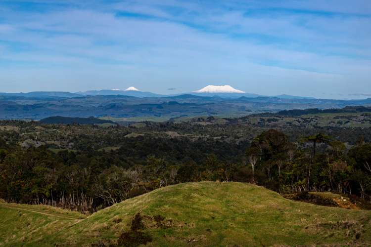23 Mahoe Road Waitomo_8