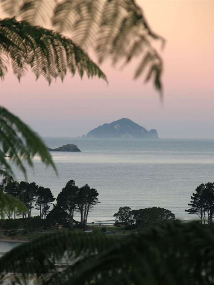 40 Tairua Heights Tairua_9