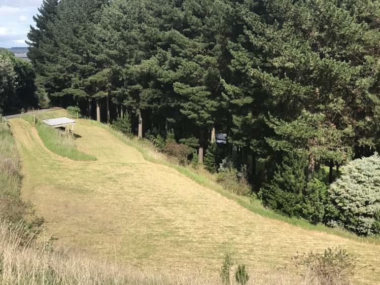 38d Montgomery Road Westmere_0