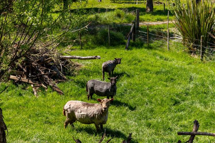 3583 Motueka Valley Highway Stanley Brook_28