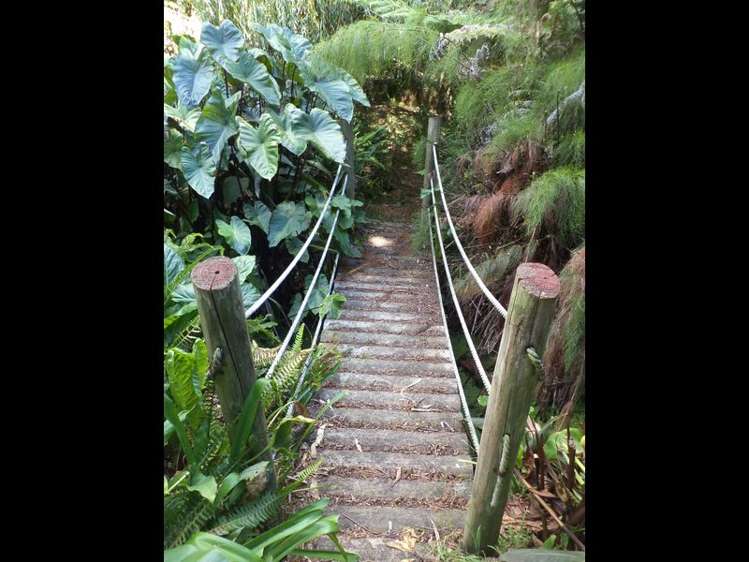 10 Angus Lane Waihi Beach_11