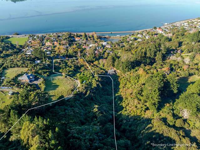 31 Tui Street Saint Leonards_3