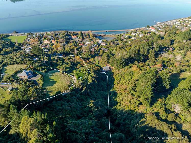 31 Tui Street_3