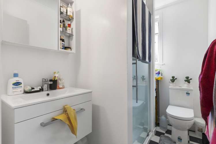 11 Mt Pleasant Road Aro Valley_9