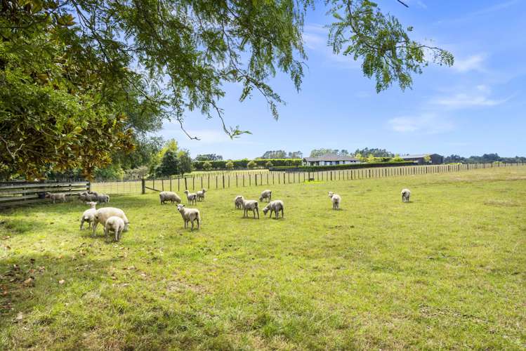 134 Logan Road Buckland_42