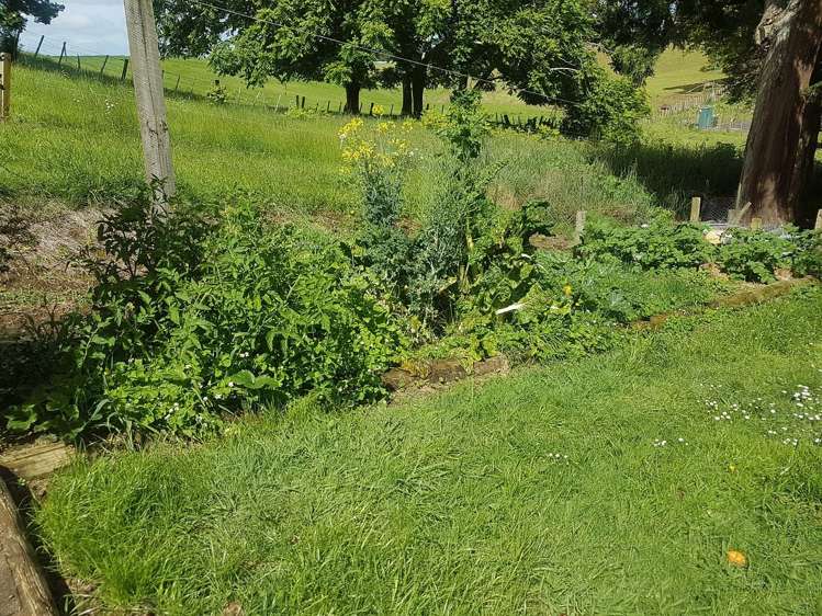 64 Oliver Street Kihikihi_20