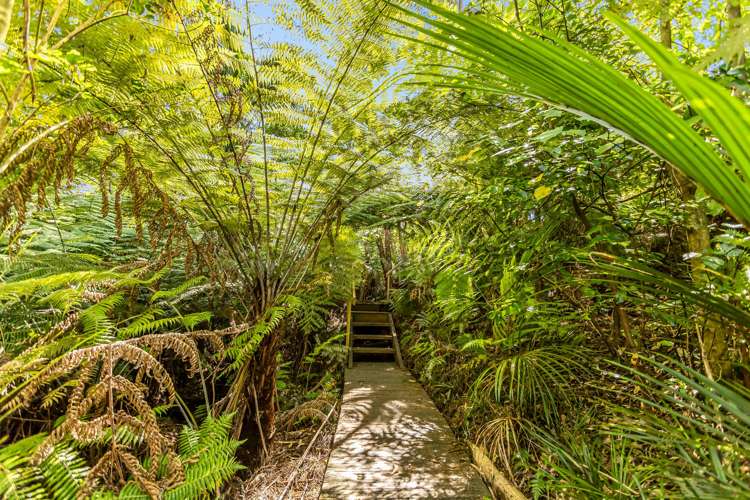 93 Tarapatiki Drive Whitianga_34