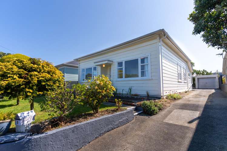 9 Buick Street Petone_0