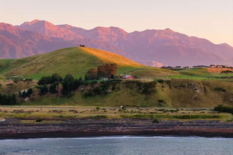 40 State Highway 1 Kaikoura Surrounds_34