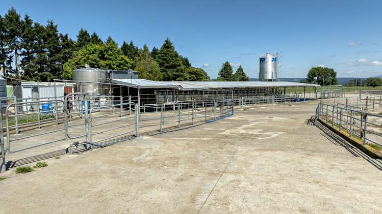 57 Ohutu Road Galatea_19