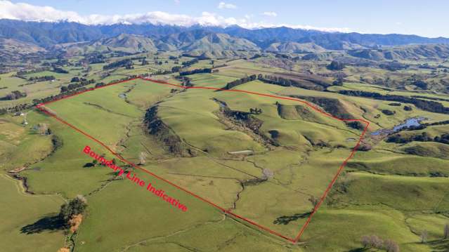 Burnetts Road Masterton_1