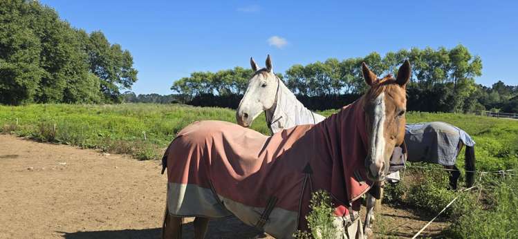 103 East Road Stratford_7