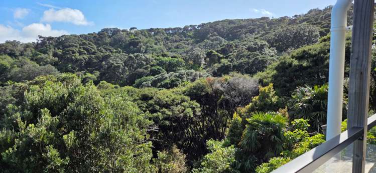 152 Shoal Bay Road Great Barrier Island_13